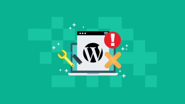 One-on-One WordPress Troubleshooting Help